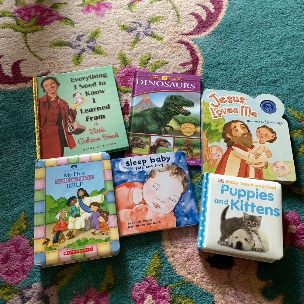Children's Book Collection bundle lot board books dinosaur golden book touch and